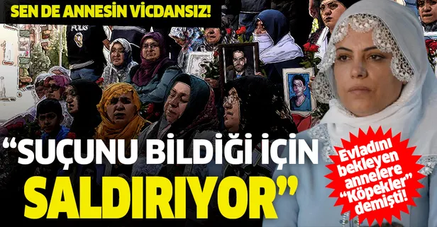 Evlat nöbeti tutan annelerden HDP’li Tosun’a tepki: Suçlarını bildikleri için saldırıyorlar