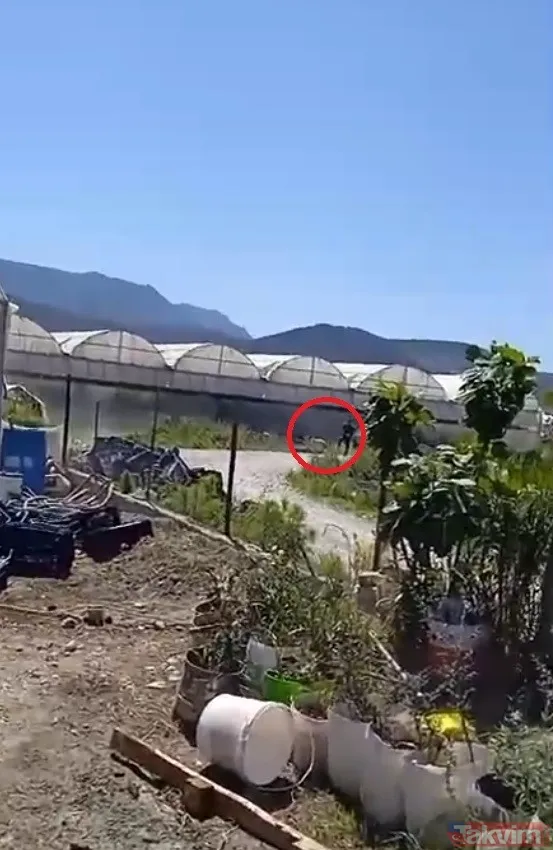 Akıllara durgunluk veren olay! Köpeğine zarar veren adamı otomobile bağlayıp metrelerce sürükledi | Bakan açıkladı: Şüpheli tutuklandı - 6