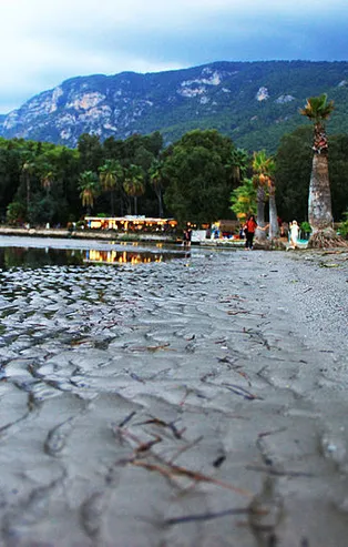 Önce Yalova'da sonra Muğla'da! Ürküten manzara...
