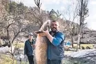Burdur'da balıkçının ağına 52 kilogramlık yayın balığı takıldı