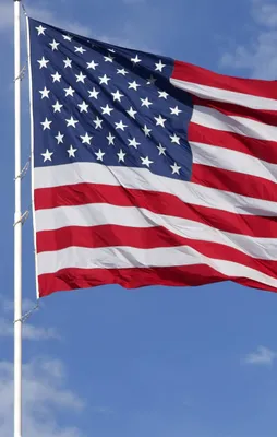 Çimentoları Amerikancılık