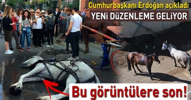 Cumhurbaşkanı Erdoğan Adalar’daki faytonlarda atların kullanılmayacağını açıkladı