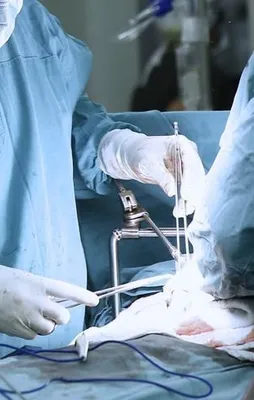 Türk doktorlarından büyük başarı