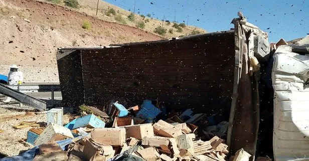 Malatya’da arı kovanı ve bal yüklü kamyon devrildi: 3 kişi öldü, 112 ekipleri arılar nedeniyle kaza bölgesine yaklaşamadı