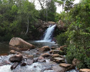 Rüyada dere görmek ne anlama gelir?