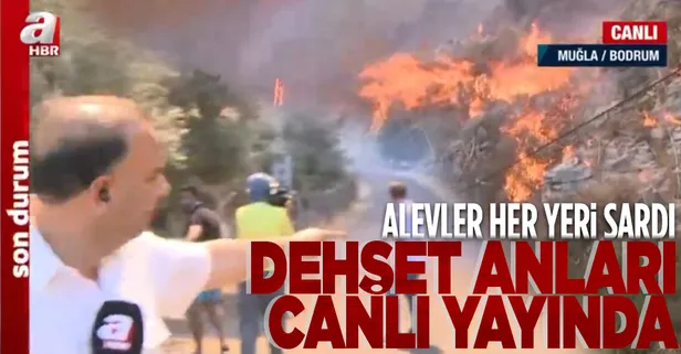 Muğla'daki Çökertme'de yangın büyüdü! Bodrum-Ören yolu kapandı! O anlar A Haber canlı yayınına yansıdı