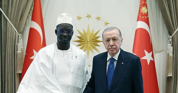 Başkan Erdoğan'a 5 ülkenin büyükelçisinden güven mektubu