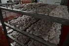 Beyaz et sektörüne operasyon: İşte denetim kayyumu atanan 13 şirket! | Gözaltı listesinde isim isim