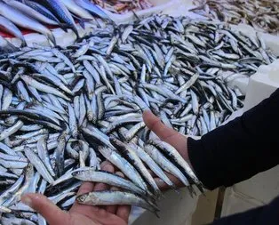 Karadeniz’in efsanesi yüzleri güldürdü