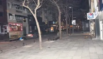 Çinli uzmandan korkutan açıklama: Coronavirüs kısırlığa neden oluyor!-4