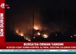 Bursa'nın Gürsu ilçesinde orman yangını!