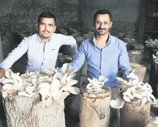 Mantara bağladılar