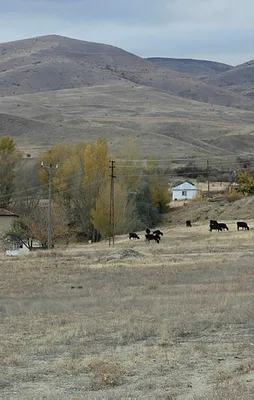 Divriği Havaalanı tarlaya dönüştü