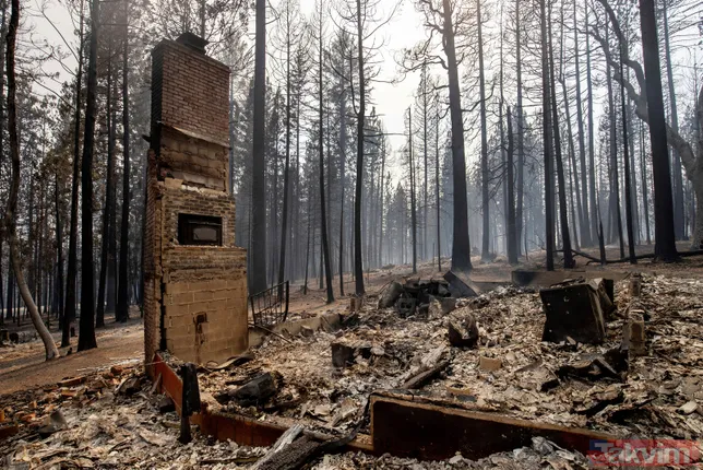 ABD’nin California eyaleti alev alev! 50 binden fazla hanede elektrik yok