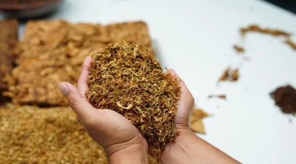 son-dakika-yasa-teklifi-mecliste-tutun-urunlerinde-kacakciliga-hapis-cezasi-geliyor-1666109112716.jpg Son dakika: Yasa teklifi Meclis'te: Tütün ürünlerinde kaçakçılığa hapis cezası geliyor-4