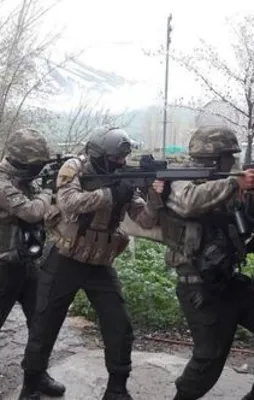 Van'da terör operasyonu! Gözaltılar var