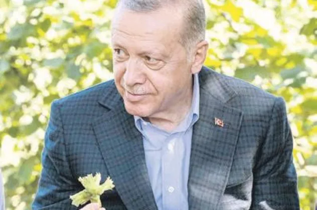 Başkan Erdoğan Ordu'dan Kılıçdaroğlu'na seslendi: Sen korkaksın
