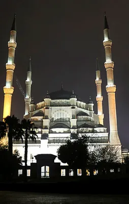 Tüm yurtta Mevlid Kandili çoşkusu