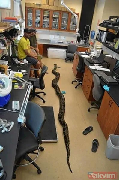 Duvarın içinden gelen seslerden ilallah etti sonunda paramparça etti! Gördükleri karşısında kalbi yerinden çıkacaktı - 45