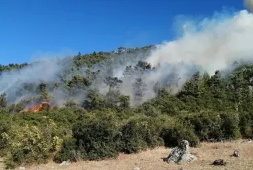 Manisa Soma’da orman yangını! Havadan ve karadan müdahale ediliyor