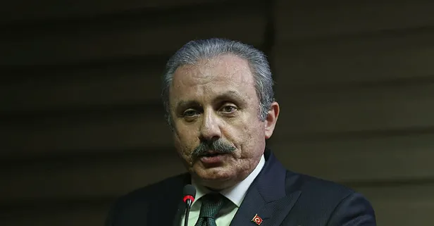TBMM Başkanı Mustafa Şentop: En ağır cevap sahada verilecek!
