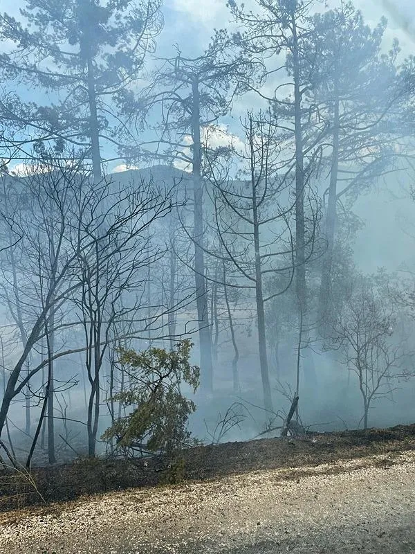 bolu-goynukte-orman-yangini-kontrol-altina-alindi-1725979623895.jpeg Bolu'da ormanlık alanda çıkan yangın kontrol altına alındı-1