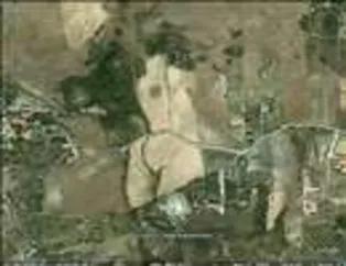 Google Map'in şaşırtıcı şekilleri