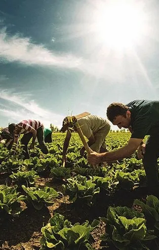 Çiftçiye 4 ayda 10.5 milyar TL