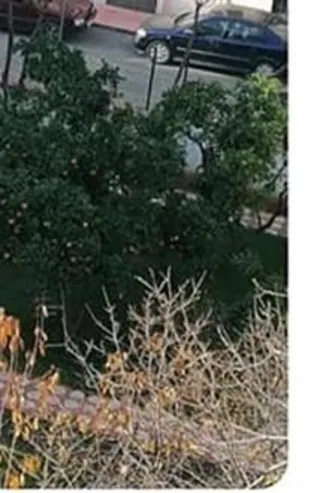 Sinop Belediye Başkanı'ndan öğrencilere jest