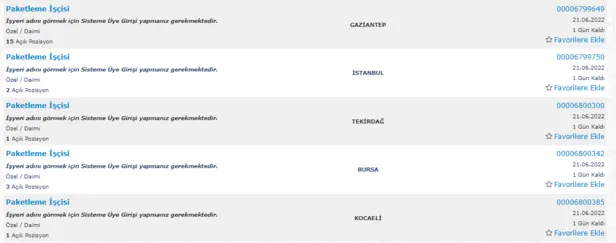 Bu habere dikkat! Evinizden dışarı adım atmadan her ay 5000 TL ek para kazanma şansınız var-7
