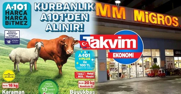 Büyükbaş kurbanlık paketi: A101, Migros, Carrefoursa! Market market 2022 kurbanlık koli fiyatları! Kemikli, kemiksiz 17 gr, 20 gr koç...