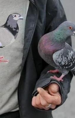 İşte günün birbirinden ilginç kareleri!