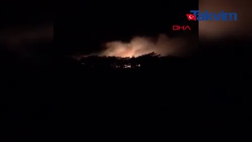 Çanakkale Ezine’de orman yangını!