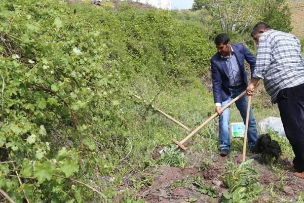 6 kilo salep soğanına 48 bin 625 lira ceza!-4