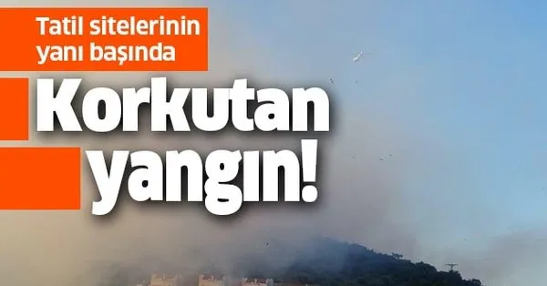 Son Dakika Izmir Dikili De Orman Yangini Takvim