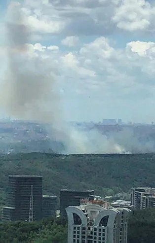 İstanbul'da ormanlık alanda yangın