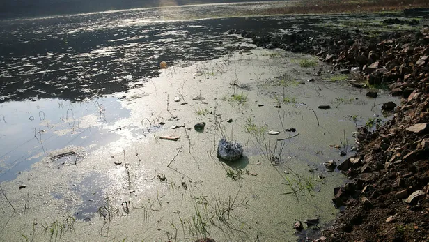 alibeykoy-barajinda-korkutan-goruntu-maglova-kemerinin-ayaklari-gorunmeye-basladi-1607509328522.jpg Alibeyköy Barajı alarm veriyor! Mağlova Kemeri’nin ayakları görünmeye başladı-3