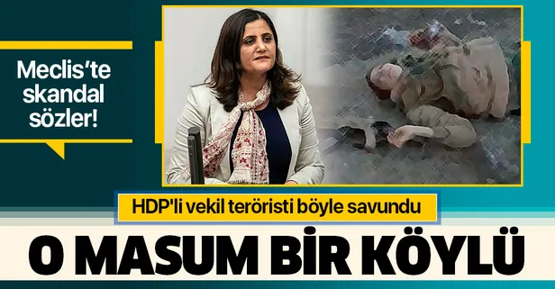 HDP'li vekil Dirayet Taşdemir teröristi böyle savundu: O masum bir köylü!