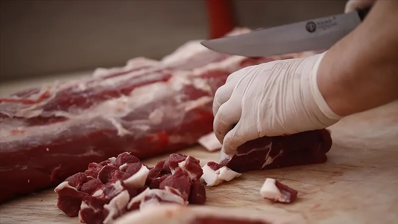 hileli-gidalarda-tespit-edildi-tek-tirnakli-hayvanlar-hangileri-ozellikleri-neler-tek-tirnakli-hayvanlarin-eti-1727854199313.jpg (Anadolu Ajansı)