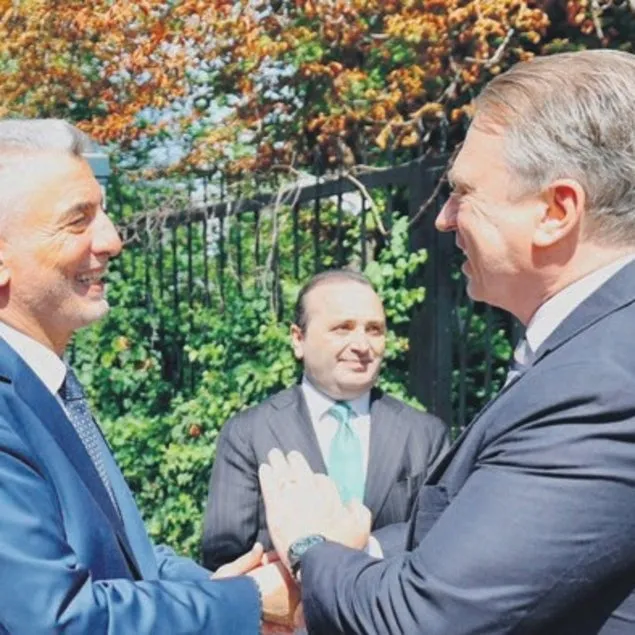 Vize toplantısı