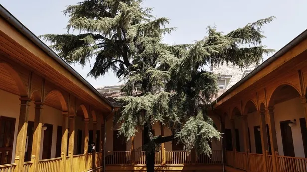 ayasofya-medresesi-baskan-recep-tayyip-erdoganin-katilimiyla-duzenlenecek-olan-torenle-hizmete-aciliyor-1649974088128.jpeg Başkan Erdoğan'dan Ayasofya Medresesi açılışında önemli açıklamalar-15