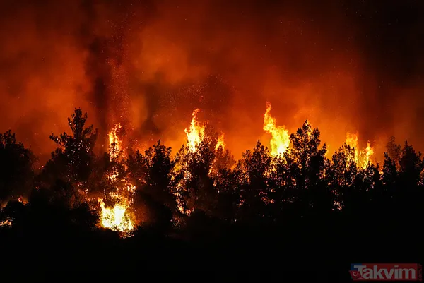 İzmir ve diğer illerde alevler kontrol altına alındı! Menderes'i yakan 'hobi' Çeşme'de izmarit izi: Bakan 'haftaya dikkat' diyerek uyardı - 34