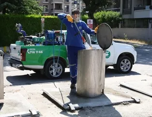 Sinekle kesintisiz mücadele