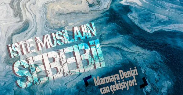 Son dakika: Marmara aylardır can çekişiyor! İşte müsilajın sebebi! O raporda ortaya çıktı!-1