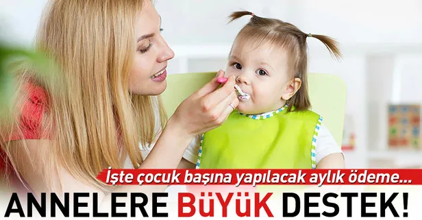 Anneye ayda 653 lira çocuk desteği