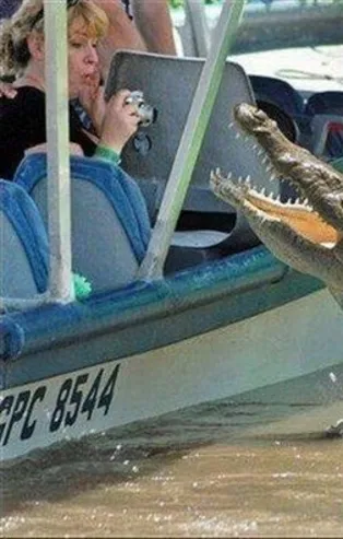 Timsahla fotoğraf çektirmek isterken başına gelenler inanılmaz