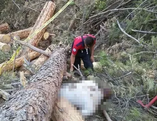 Korkunç olay! Cesedi 4 gün sonra bulundu