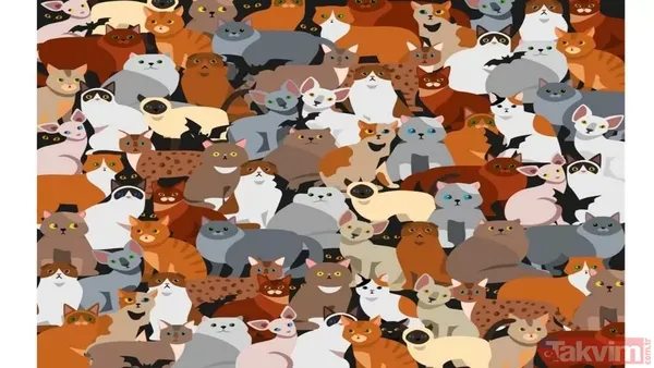 Bu Resimli Bulmacayı Çözebilir Misiniz? Görsel Zekânızın Üst Düzeyde Olup Olmadığını Öğrenmek İçin Harika Bir Fırsat! Gözlem Becerilerinize Güveniyorsanız, Bu...