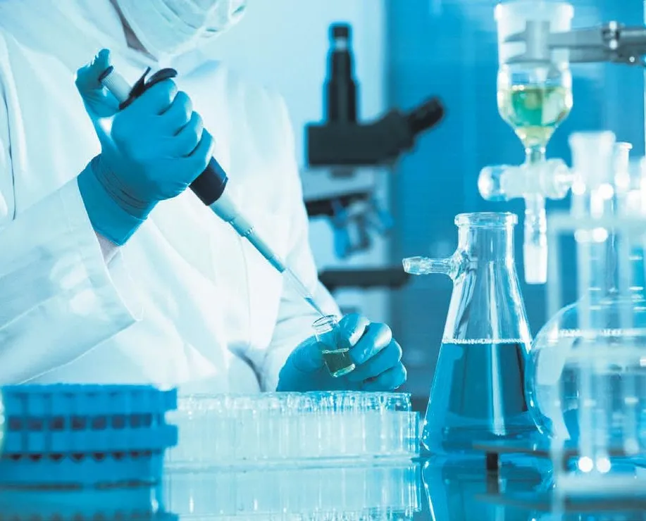 Merkel’e inat yatırım