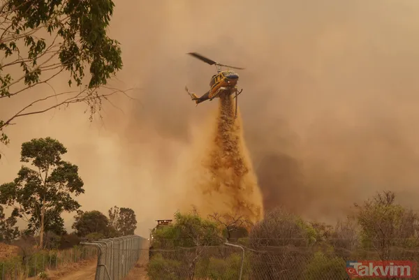 SON DAKİKA: Avustralya'da yangın faciası! 71 ev kül oldu - 3